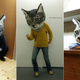 Illustration for article titled You Can Wear This Freaky Cat Head in Tokyo